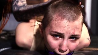 Cutting Hair Of Bondaged Bramble Bondage