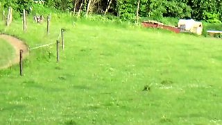 Public Nature Fuck With Big-Tit Brunette Near Biker Road