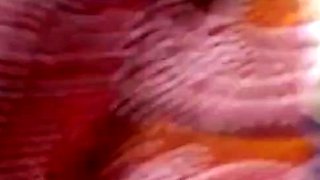 Aunt's Naughty Video Call