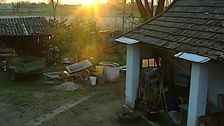 Homemade amateur blonde teen blowjob and cumshot